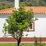Casa Do Bago Holiday home
